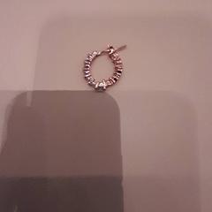 Boucle d'oreille, a été signalé par Van der Valk Hotel Schiphol utilisant iLost