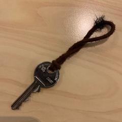 İLost kullanarak Gemeente Zwartewaterland tarafından bildirildiği gibi sleutel met bruin koordje