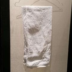 タオル grey がiLostで The Dominican によって報告されました