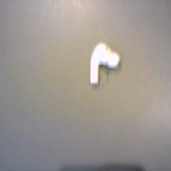 Hörmuschel, gemeldet von SnowWorld Landgraaf über iLost