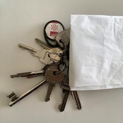 Sleutelbos, como reportado ao iLost