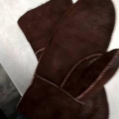 Luvas Bruin, segundo informou Arriva Friesland / Groningen usando iLost