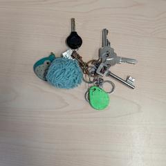 Sleutelbos/Keychain in Utrecht Overvecht, jak zgłoszono do iLost