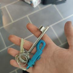 Sleutelbos, jak zgłoszono do iLost