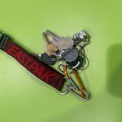 سلسلة المفاتيح، كما تم الإبلاغ عنه بواسطة Gemeente Hardenberg عبر iLost