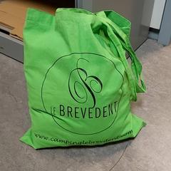 Taška - Stoffen tas groen, ako bolo nahlásené Regio Oost-Vlaanderen pomocou iLost