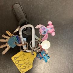 sleutelbos a été signalé sur iLost