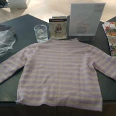 Maglione paars wit gestreept, come riportato da Van der Valk Hotel Assen utilizzando iLost