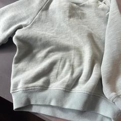 Maglione, come riportato da Burgers' Zoo utilizzando iLost