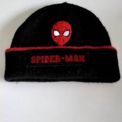 Muts, zoals gemeld door Gemeente Puurs-Sint-Amands met iLost