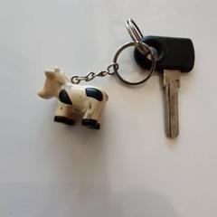 المفاتيح (متنوعة)، كما تم الإبلاغ عنه بواسطة Zwarte Cross (Gemeentehuis) عبر iLost