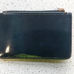 Titular de la targeta Wynants, segons ha informat Regio Limburg - Leuven mitjançant iLost