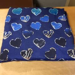 Sjaal Blauw, zoals gemeld door Connexxion Zeeuws-Vlaanderen met iLost