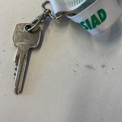 Clé, a été signalé par GVB utilisant iLost