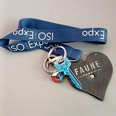 Schlüssel cle, gemeldet von IKEA Nantes über iLost