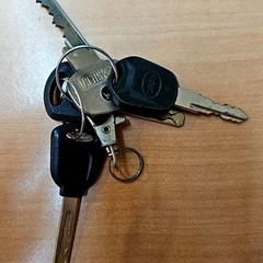 İLost kullanarak Gemeente Zutphen tarafından bildirildiği gibi Anahtarlar