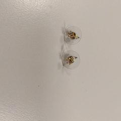 Náušnice, jak nahlášeno Vrije Universiteit Amsterdam pomocí iLost