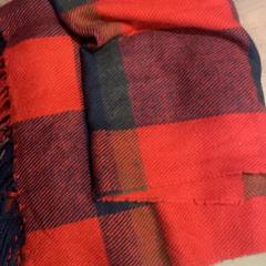 毛布 Sjaal geruit がiLostで Pathé Arnhem によって報告されました