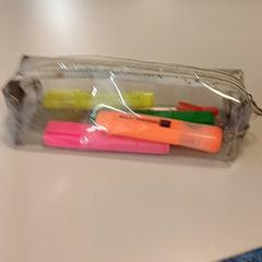 Case, as reported by Padualaan 99 using iLost