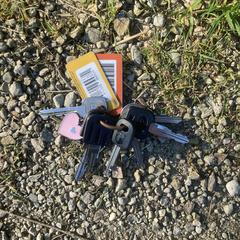 Sleutelbos, jak bylo nahlášeno na iLost