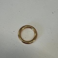 Bague, a été signalé par Het Amsterdamse Winterterras utilisant iLost