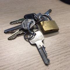 İLost kullanarak Gemeente Arnhem tarafından bildirildiği gibi Anahtarlar