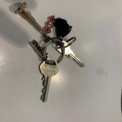 Sleutelbos an iLost gemeldet