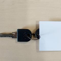 Chave Zwart, como reportado por Regio Oost-Vlaanderen utilizando o iLost