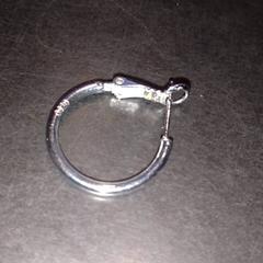 Ohrring, gemeldet von TivoliVredenburg über iLost