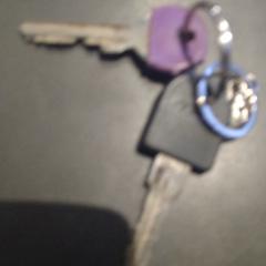 Sleutelbos, ako bolo nahlásené TivoliVredenburg pomocou iLost