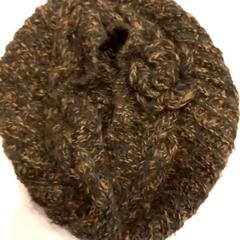 Beanie, amint azt Arriva Limburg Noord az iLost segítségével jelentette.