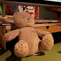 Peluche, como reportado por IKEA Villiers-sur-Marne utilizando o iLost