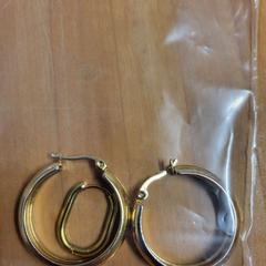 ピアス がiLostで Bolognalaan 101 によって報告されました