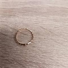 İLost kullanarak EBS Spijkenisse tarafından bildirildiği gibi Yüzük