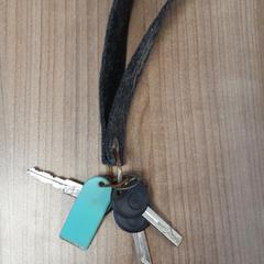 Sleutels, iLost를 사용하여 Connexxion Noord Holland Noord Alkmaar에 보고됨