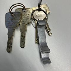 İLost kullanarak Gemeente Rijswijk tarafından bildirildiği gibi Anahtarlar