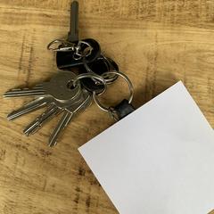 Sleutelbos, jak zgłoszono do iLost