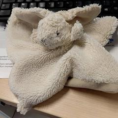 Manteta Lapin blanc, segons ha informat IKEA Brest Guipavas mitjançant iLost