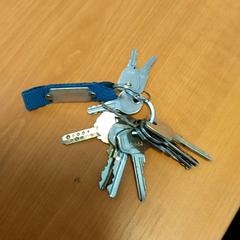 Sleutëls, ha sido reportado por Arriva Infoshop Enschede con iLost