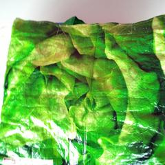 İLost kullanarak Twisto tarafından bildirildiği gibi Çanta