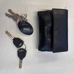 Wallet with documents and keys, som rapportert til iLost
