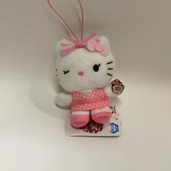 Kosete leke, som rapportert av IKEA鶴浜 ved bruk av iLost