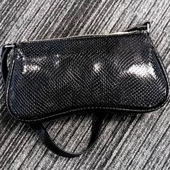 Tasche Akula, gemeldet von Arriva Vechtdallijnen über iLost