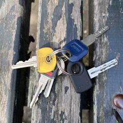 Sleutelbos, as reported to iLost