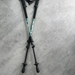 Walking stick, as reported by RRReis Arriva Achterhoek-Rivierenland using iLost