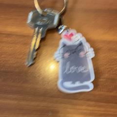 Chiave, come riportato da Pathé Rembrandt Utrecht utilizzando iLost