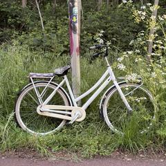 Fiets, come riportato a iLost