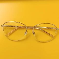 Lesebrille, gemeldet von UMC Utrecht über iLost
