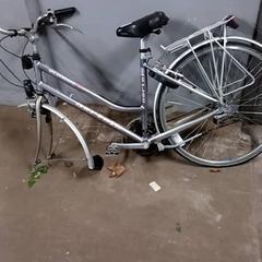 Bicycle & Damesfiets Norta Zilver, zoals gemeld door Fietsdepot Hasselt met iLost