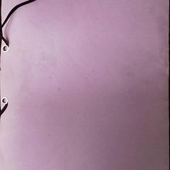 Bossa d'embragatge Pochettes Violet, segons ha informat ilévia mitjançant iLost